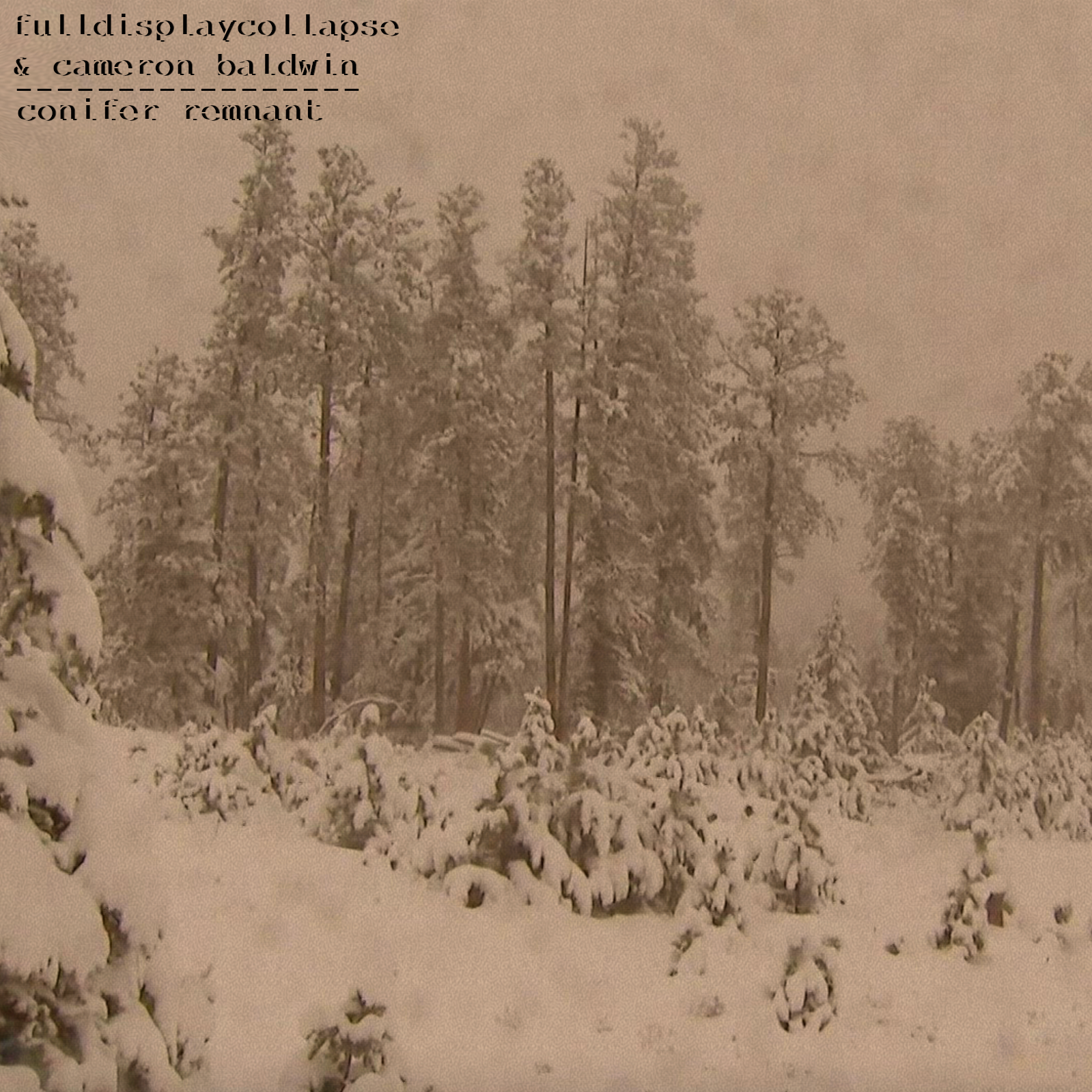 Conifer Remnant E.P.